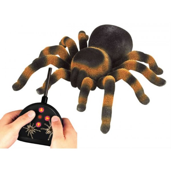 rc-pavouk-tarantula.jpg - 50.47 KB
